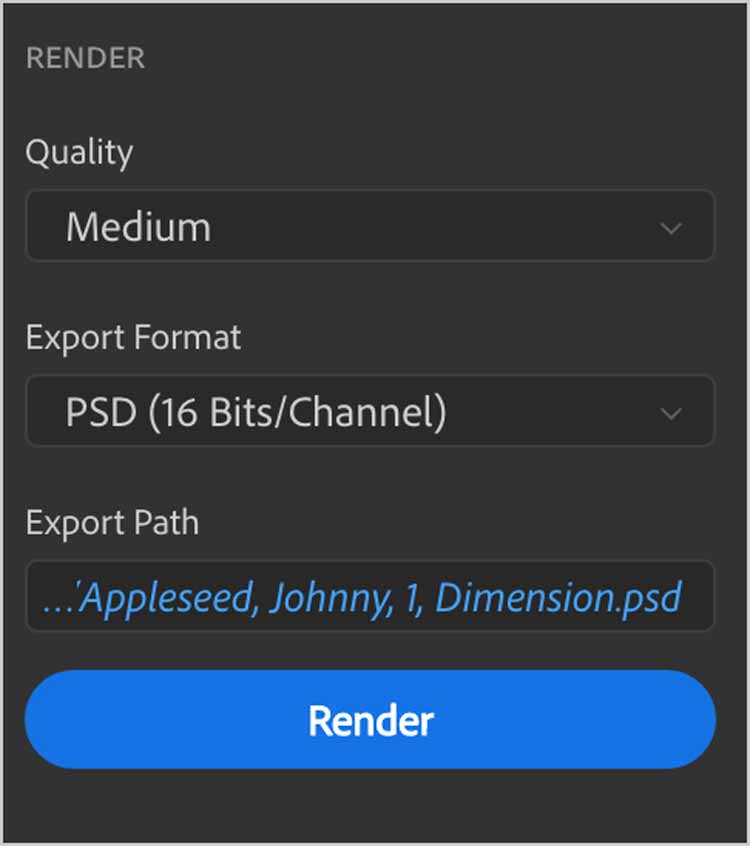 dimension-render-options