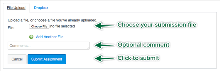 canvas-submission-choose-file
