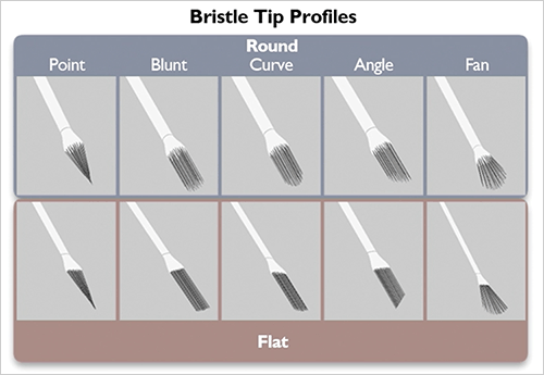 pastel-brush-bristle-tip-shape