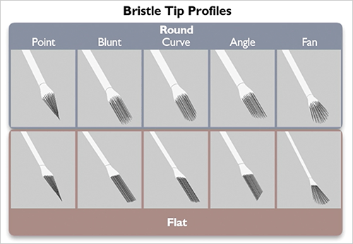 bristle brush photoshop