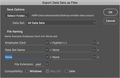 export-data-sets-options